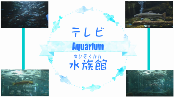 水族館