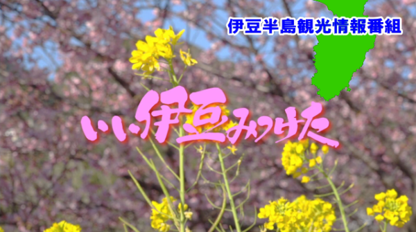 いい伊豆みつけた